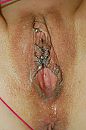 Vol gespoten.., foto 1496x2256, 7 reacties, 46 stemmen