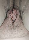 Volle, foto 2448x3264, 0 reacties, 13 stemmen