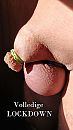 Volledige LOCKDOWN, foto 2250x4000, 1 reacties, 6 stemmen