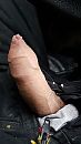 Voor de dames, foto 2250x4000, 3 reacties, 16 stemmen