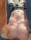 Vrolijk Pasen in deze grijze, foto 1728x2186, 2 reacties, 10 stemmen