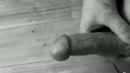 Warm zaad..., film 00:00:10, 5 reacties, 19 stemmen