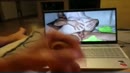Was een toffe date, film 00:00:30, 17 reacties, 27 stemmen