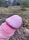 Was maar 1 eikel in het bos, foto 3000x4000, 4 reacties, 13 stemmen