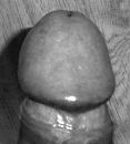 Weer eentje zw, foto 2568x2844, 8 reacties, 17 stemmen