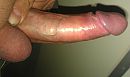 Welk vrouwtje zou deze willen, foto 816x488, 2 reacties, 5 stemmen