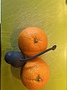 Welke ballen zijn het lekkerst, foto 3000x4000, 6 reacties, 21 stemmen