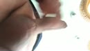 Wie mag ik neuken?, film 00:00:17, 11 reacties, 28 stemmen