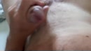 Voor Willianne x, film 00:00:22, 2 reacties, 2 stemmen