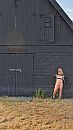 Wie knabbelt aan mijn huisje?, foto 721x1280, 4 reacties, 42 stemmen