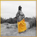 Yellow stripping, foto 3071x3071, 11 reacties, 91 stemmen