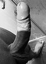 Z/W, foto 1927x2641, 28 reacties, 51 stemmen
