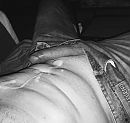 Zaad..., foto 545x516, 13 reacties, 77 stemmen