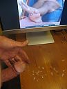 Zaad voor jou, foto 1151x1534, 3 reacties, 8 stemmen