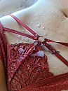Zaadslip, foto 540x720, 30 reacties, 137 stemmen