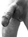 Zaterdag mood..., foto 1932x2576, 11 reacties, 24 stemmen