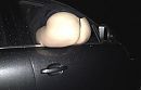 Zin..., foto 550x352, 20 reacties, 147 stemmen