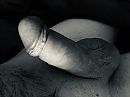 Zin in, foto 4000x3000, 13 reacties, 75 stemmen
