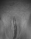 Zin!!!, foto 959x1198, 31 reacties, 101 stemmen