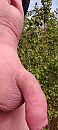 Zin, foto 1472x3264, 2 reacties, 11 stemmen