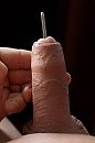 Zo lekker om te doen, foto 800x1200, 11 reacties, 33 stemmen