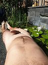 Zonnen, foto 540x720, 5 reacties, 19 stemmen
