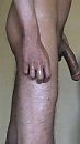 ...., foto 243x431, 64 reacties, 144 stemmen