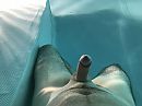 .., foto 4000x3000, 2 reacties, 6 stemmen