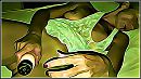 ..., foto 600x338, 8 reacties, 84 stemmen