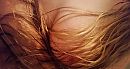 ..., foto 4000x2154, 43 reacties, 230 stemmen