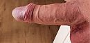 ., foto 1999x981, 15 reacties, 32 stemmen