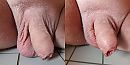 afkoelen onder de koude douche, foto 4000x2000, 20 reacties, 60 stemmen