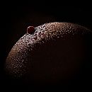 art nude 2, foto 1200x1200, 17 reacties, 47 stemmen