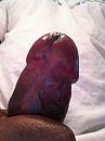 as, foto 240x320, 0 reacties, 1 stemmen