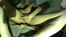 beloning na het scheren., film 00:00:00, 1 reacties, 6 stemmen