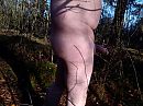 bos 8, foto 1155x866, 0 reacties, 4 stemmen