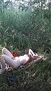 buiten in de natuur, foto 2250x4000, 1 reacties, 21 stemmen