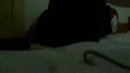 buurvrouwtje, film 00:00:00, 0 reacties, 1 stemmen