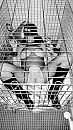 caged, foto 720x1280, 39 reacties, 204 stemmen