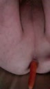 carrot loving, film 00:00:18, 5 reacties, 13 stemmen