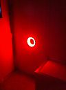 deze week overdag, foto 448x600, 4 reacties, 23 stemmen