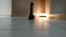 dikke dildo, film 00:00:00, 6 reacties, 24 stemmen