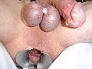 esib, foto 640x480, 0 reacties, 3 stemmen