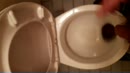 even een plasje doen, film 00:00:00, 11 reacties, 23 stemmen