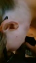 fantasie, film 00:00:00, 8 reacties, 70 stemmen