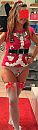 fijne kerst !, foto 554x1866, 7 reacties, 54 stemmen