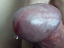 geen, foto 600x450, 6 reacties, 17 stemmen