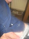 geil, foto 2304x3072, 2 reacties, 6 stemmen