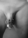 gekooid, foto 1026x1403, 9 reacties, 17 stemmen