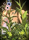 genieten buiten, foto 2449x3266, 5 reacties, 22 stemmen